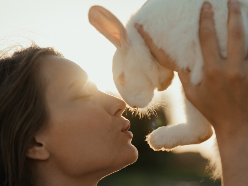 Why Cruelty free 10 reasons that will change your mind