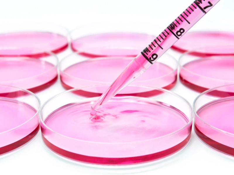 in vitro method of cosmetics testing, an alternative to animal testing